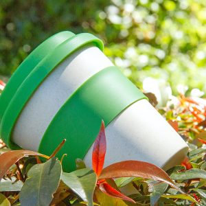 Vaso Bamboo II 350ml